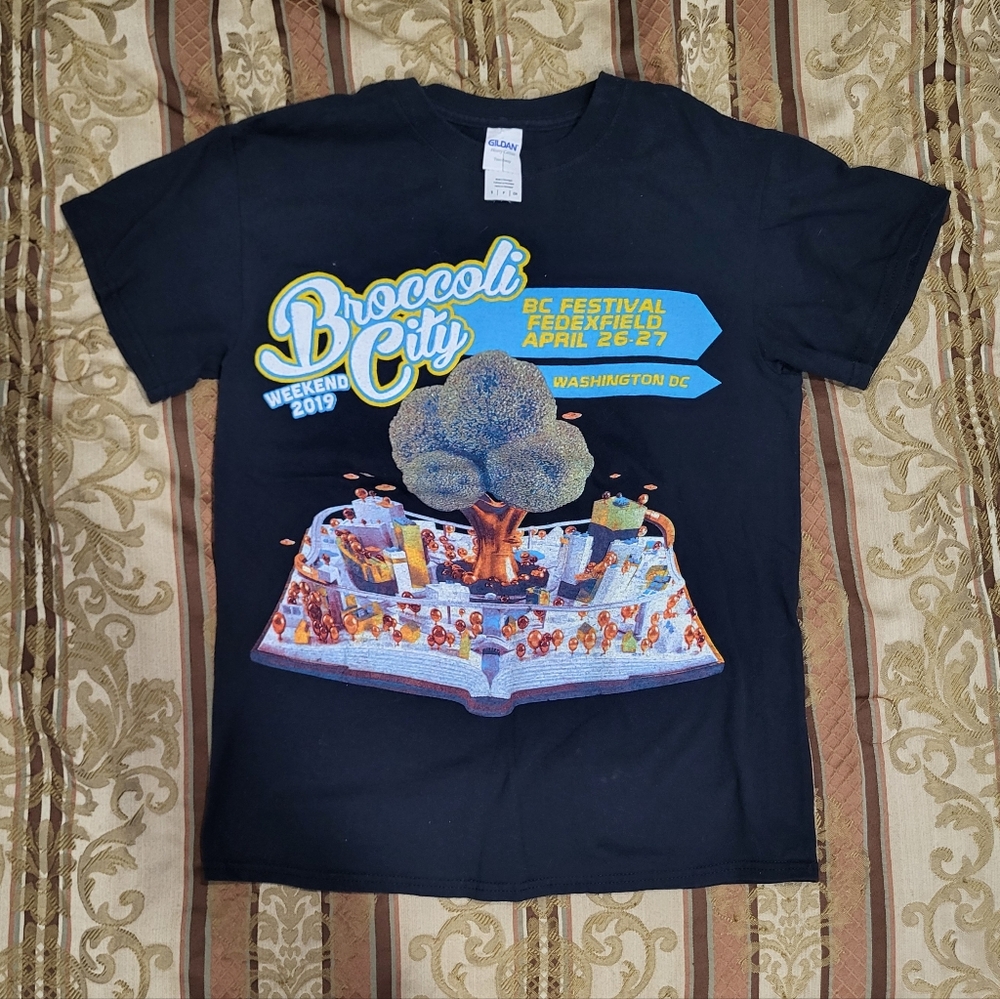 Fruit of the loom medium Broccoli City 2019 black t-shirt